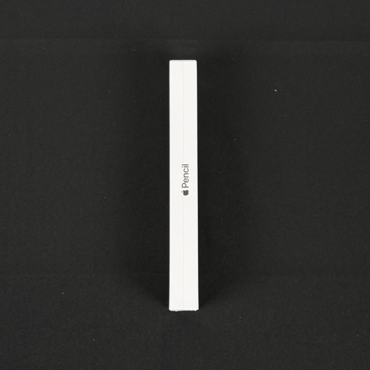Apple Pencil 1ª Geração