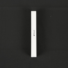 Apple Pencil 1ª Geração