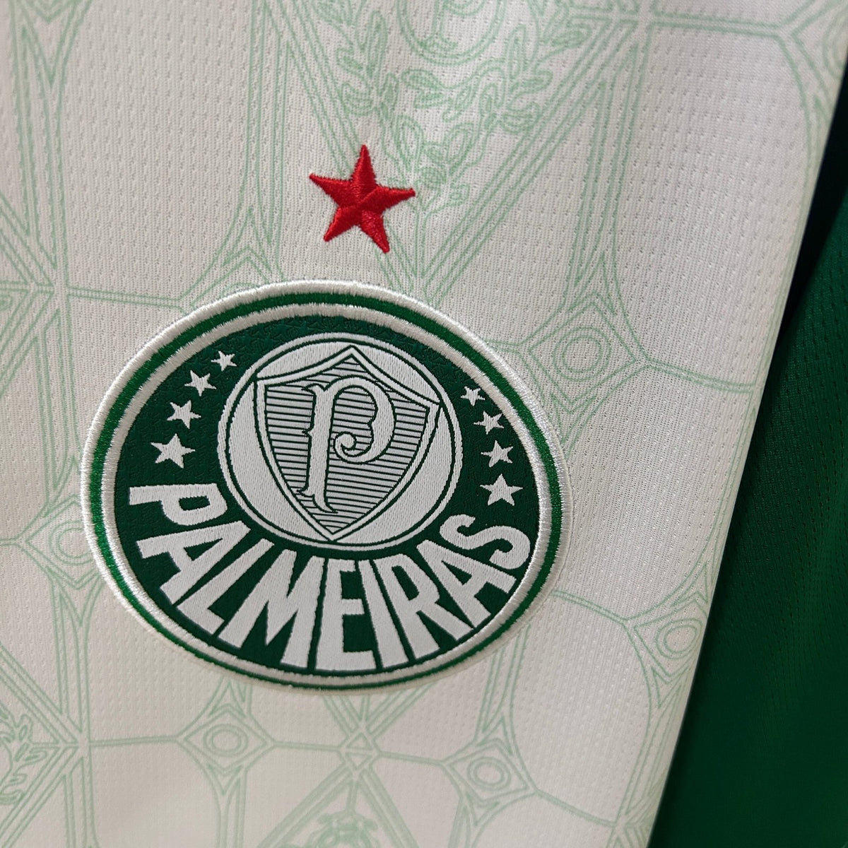 Camisola Palmeiras Alternativa 2025/26