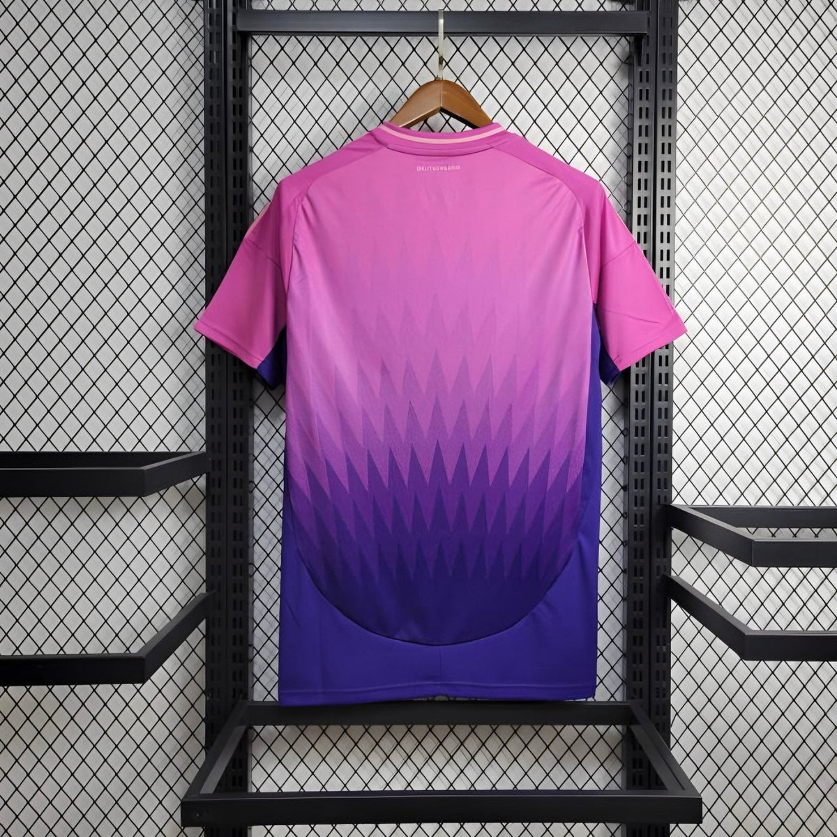Camisola Alemanha Alternativa 2024