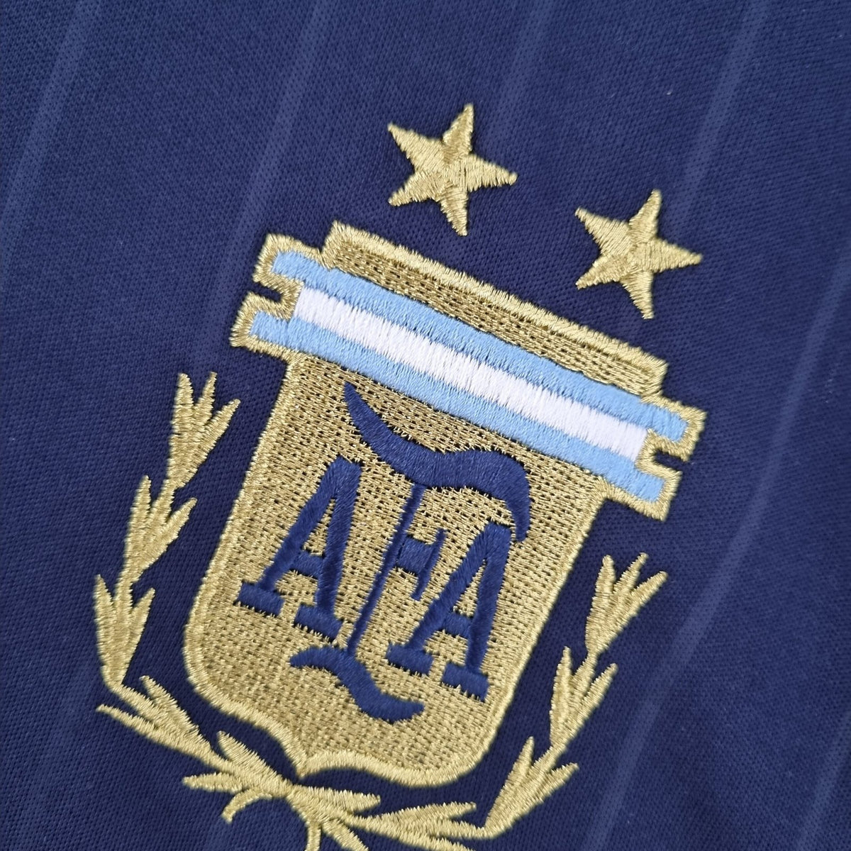Argentina Alternativa 2006