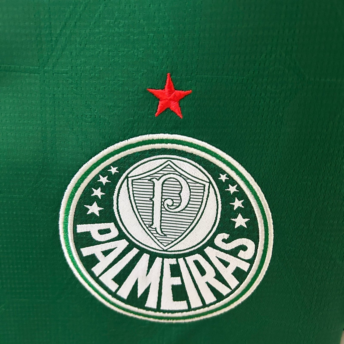 Camisola Palmeiras Principal 2025/26